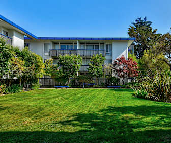 Apartments For Rent In Foster City Ca 220 Rentals Apartmentguide Com
