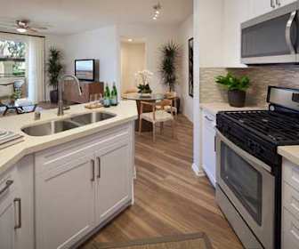 Apartments For Rent In Laguna Woods Ca 117 Rentals Apartmentguide Com