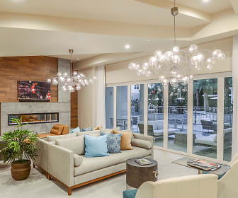 living room featuring a notable chandelier, plenty of natural light, a fireplace, and TV, CitySide