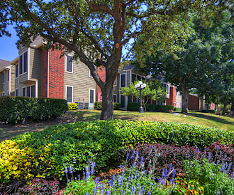 Arlington Heights Apartments For Rent 236 Apartments