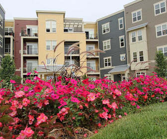 Spring Green Apartments For Rent
