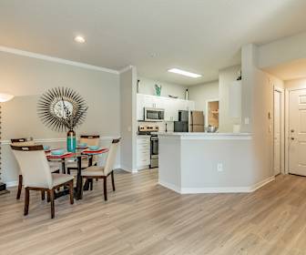 New Tampa Apartments For Rent 175 Apartments Tampa Fl