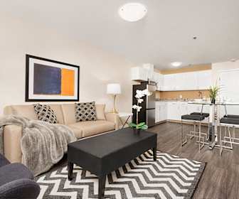 Pet Friendly Apartments For Rent In Ballard Seattle Washington Apartmentguide