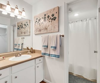 bathroom featuring shower curtain, mirror, and vanity, Kings Grant Landing