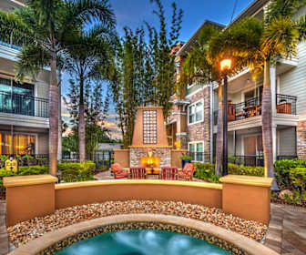 26 Apartments For Rent Near Dr Phillips Elementary School In