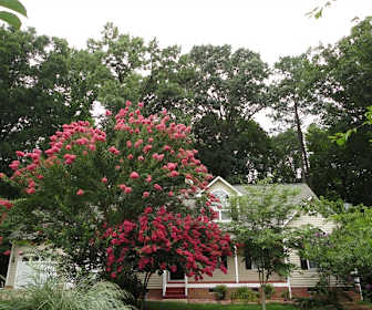 Apartments For Rent In Wake Technical Community College Nc 14