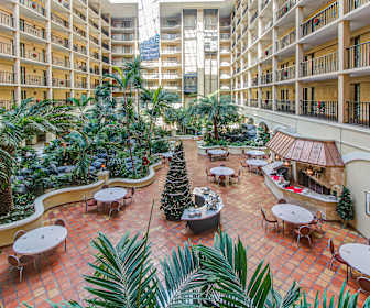 Gray Gables Apartments For Rent 204 Apartments Tampa Fl Apartmentguide Com