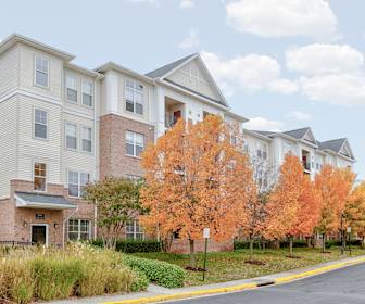 1 Bedroom Apartments For Rent In Herndon Va 33 Rentals