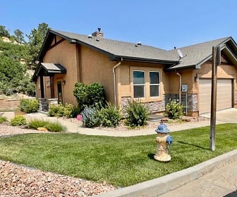 2234 CONSERVATORY POINT, 80918, CO