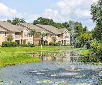 Rentals In Citrus Park Fl