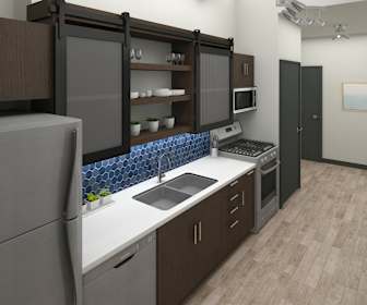 Luxury Apartments For Rent In Near South Side Chicago Illinois 30 Rentals
