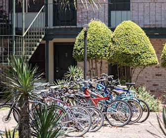 Echo Apartments Austin Tx 78756
