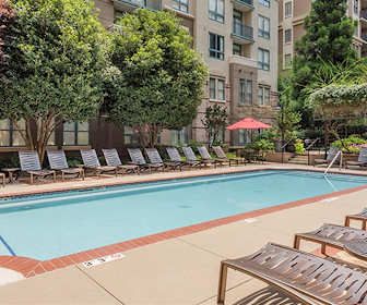 Studio Apartments For Rent In Downtown Charlotte Nc 28 Rentals