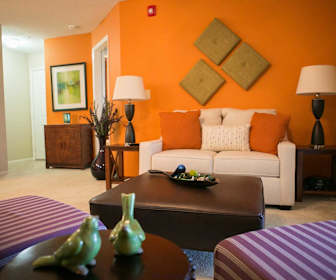Springs At Palma Sola Apartments Bradenton Fl 34210