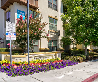 Apartments for Rent in Santa Clara, CA - 643 Rentals 