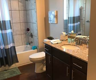 Westshore Palms Apartments For Rent 181 Apartments Tampa Fl