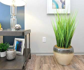 Garden Springs Apartments For Rent 237 Apartments Lexington