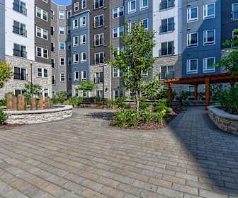 One Bedroom Apartment For Rent In Lowell Ma