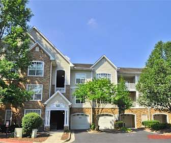 Pet Friendly Apartments For Rent In Atlanta Ga