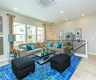 living room with hardwood floors and natural light, Mayfair Townhomes