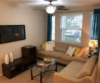 Luxury Apartments For Rent In New Tampa Tampa Florida 29 Rentals