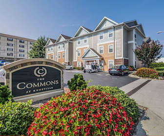 Fort Sanders 1 Bedroom Apartments For Rent Knoxville Tn 49 Rentals