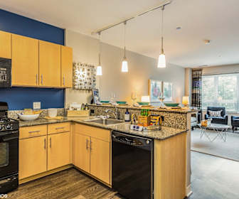 Rogers Park Studio Apartments For Rent Chicago Il 26 Rentals