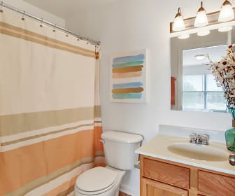 bathroom featuring shower curtain, mirror, toilet, and vanity, Parkview Place