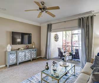 Apartments For Rent In St Petersburg College Fl 133