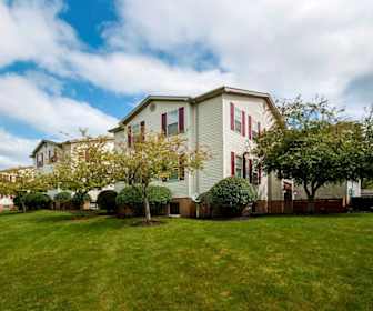 Meadowbrook Apartments For Rent 68 Apartments Boardman Oh