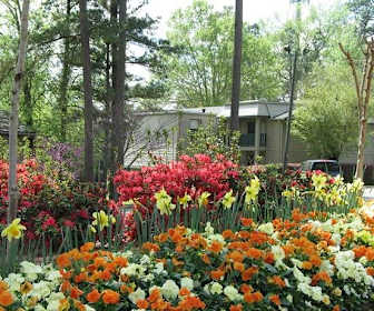 1 Bedroom Apartments For Rent In Augusta Ga 76 Rentals
