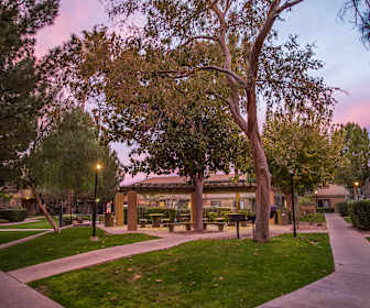 Alvernon Heights Apartments For Rent 257 Apartments