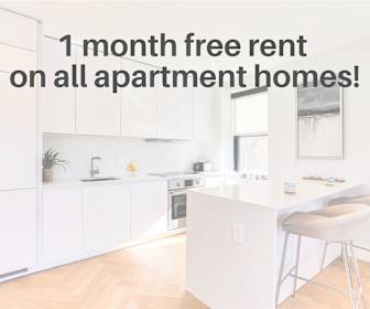 1 Bedroom Apartments For Rent In Washington Dc 356 Rentals