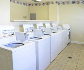 1 Bedroom Apartments for Rent in Albany, GA | 14 Rentals