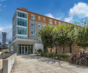 Central City 1 Bedroom Apartments For Rent New Orleans