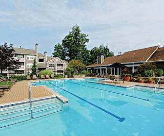 Pet Friendly Apartments For Rent In Fairfax Va