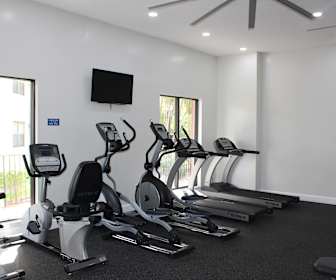Apartments For Rent In Palm Springs North Fl 644 Rentals Apartmentguide Com