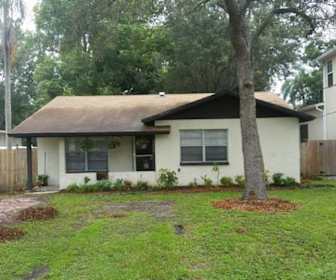 Apartments For Rent In Palma Ceia Fl 254 Rentals