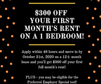 Furnished Apartment Rentals In Durham Nc