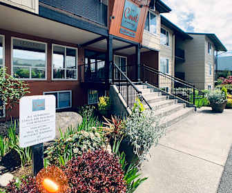 Northgate Apartments For Rent Seattle Wa Apartmentguide Com