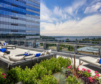 Downtown Apartments For Rent 199 Apartments Bellevue Wa