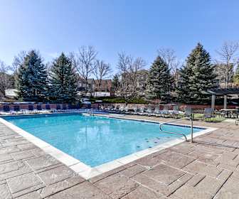 Apartments For Rent In Roxborough Park Co 376 Rentals Apartmentguide Com