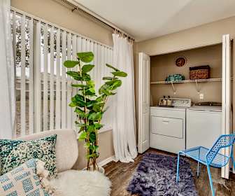 Silver Ridge Apartments For Rent 204 Apartments Pine Hills Fl Apartmentguide Com