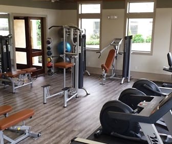 gym featuring plenty of natural light and hardwood flooring, Palms at Cinco Ranch