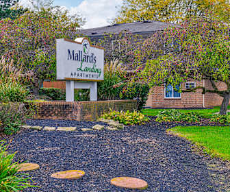 Apartments For Rent In Minerva Park Oh - 301 Rentals Apartmentguidecom