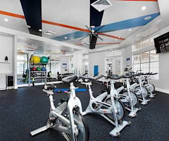 Cheap Apartments For Rent In Walt Disney World Resort Bay