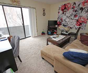 North Oakland Studio Apartments For Rent Pittsburgh Pa 46 Rentals