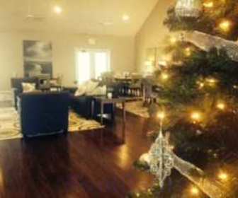 Apartments For Rent In Elizabethtown Ky 143 Rentals