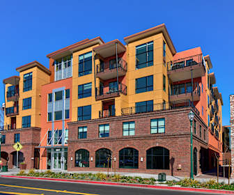 Downtown Walnut Creek Apartments For Rent 202 Apartments