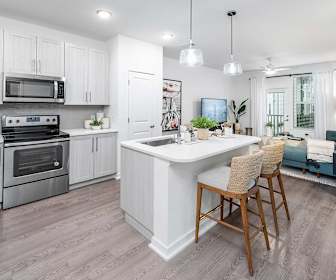 Essex Luxe Apartments, Williamsburg, FL